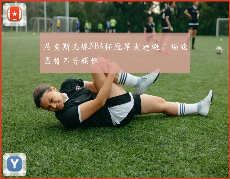 尼克斯无缘NBA杯冠军麦迪逊广场花园将不升旗帜