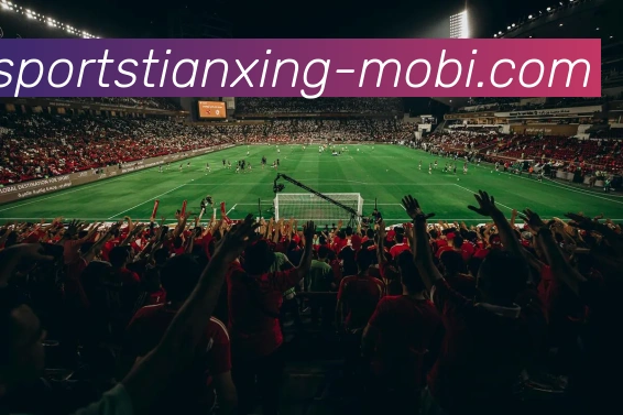 天行体育平台生态图