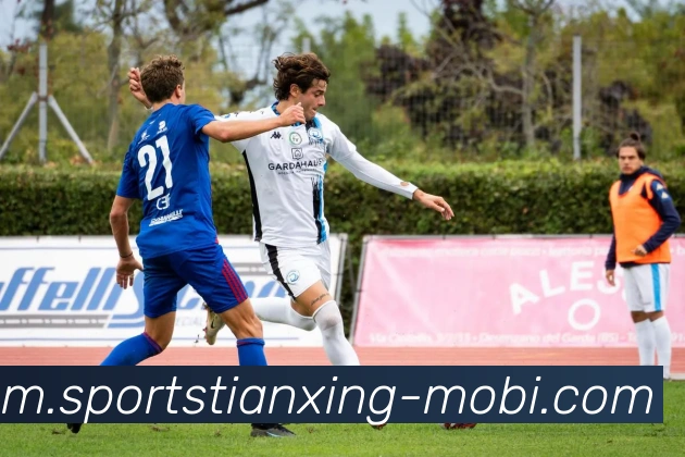 天行体育APP 封面图